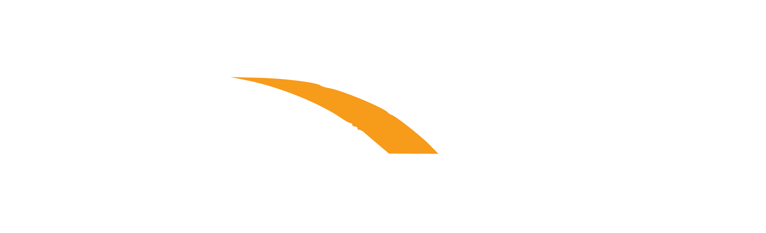 LEK Partners